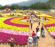 강원도 인제 내설악 가을꽃 축제 오는 22일 개막