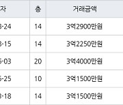 수원 율전동 율전밤꽃마을뜨란채 59㎡ 3억2900만원에 거래