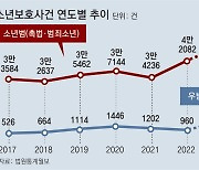 [단독]소년범 5년새 8500건 급증… 방치땐 성인흉악범 늘 우려