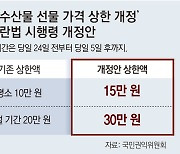 명절 선물 상한액 늘자… 20만원대 상품 확보 경쟁