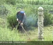 예초기 안전사고 추석 전 집중…‘벌초 작업 각별히 주의해야’