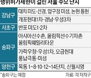 송파 '올림픽 3대장'서 상가 지분 쪼개기 못한다