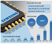 고성능·고용량 '괴물 D램'… 삼성전자, 1테라 시대 앞당긴다