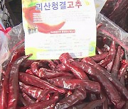 매콤한 향에 새빨간 빛깔…"괴산의 빨간 맛보러 오세요"