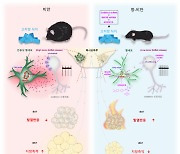 굶지 않고 살 빼는 날 올까···뇌 속 체중조절 스위치 찾았다