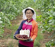 산림청, ‘이달의 임업인’ 경기 안성 최춘희씨 선정