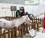 한국마사회, '2023 A FARM SHOW, 창농·귀농 고향사랑 박람회' 참가