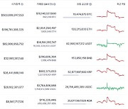 2만5000달러대 머문 비트코인, 현물 ETF 승인 연기 영향