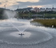 진천 신척저수지서 물고기 집단 폐사…원인 분석 착수