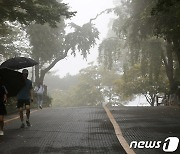 경북 영천 호우주의보 발효 중…시간당 30㎜ 강한 비