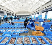 “日 정부, 자국 수산업자에 1800억원 지원…中 금수 조치 대응”