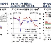 [커지는 `L자형 경기침체` 경고음] 제조업 중심·노동 고령화… 獨 닮아가는 韓 경제구조