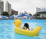 뚝섬한강공원 반려견 수영장 개장