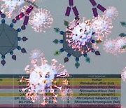 미국서 돌연변이 30여 개 더 많은 코로나19 새 변이 확산 조짐