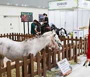 마사회 ‘창농·귀농 고향사랑 박람회’ 참가 [경마]