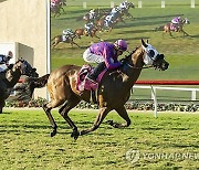 Del Mar Horse Racing