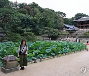 창덕궁 후원, 해설사 없이 자유 관람