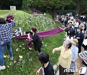 보라색 천 두르는 정의기억연대