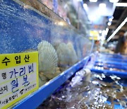 日 오염수 방류에도… 가락시장 수산물 거래량 전년 대비 42.8%↑