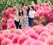 "추억 선물 준비 완료 "80일간 펼쳐지는 에버랜드 가을 축제