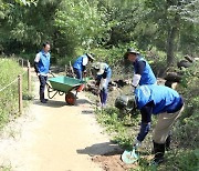 신한證, 여의도 샛강생태공원 산책로 보수 실시