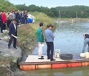 [여기는 전남] 수산물 불안 잠재우기 총력…현장 반응은 ‘글쎄’