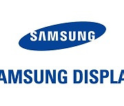 Samsung Display gets shareholder approval for eMagin acquisition