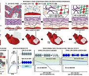 성균관대 연구팀, 심혈관계 바이오 전자 스티커 개발