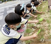 6월 인구 자연 감소, 동월 기준 역대 최대…상반기 5만2천명↓