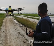 MALAYSIA AGRICULTURE RICE