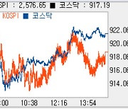 [코스닥 마감]상승해 920선…레인보우로보틱스 시총 8위로 '쑥'