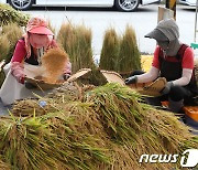 가을걷이