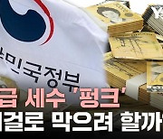 역대급 세수 '펑크'를 왜 외환기금으로 메우려 할까? [와이즈픽]