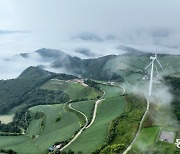 안반데기 배추밭[포토 에세이]