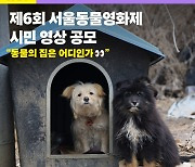 서울동물영화제, 시민 영상 공모전 개최…"선정작 공식 상영"