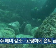 제주 해녀 감소…고령화에 은퇴 급증