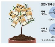 생보 자산운용, 빅3 '공격형' 외국계 '안전형'