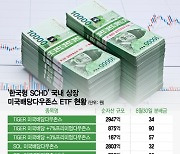 "1억 투자했더니 월 90만원이 계좌에" 개미 몰리는 월배당 ETF