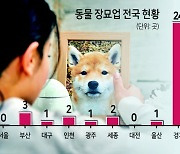 “반려동물사체 쓰레기봉투에 버리라니” 반려인 울리는 킬러규제