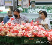 농식품부 "기상 탓에 채소·과일값 상승…추석 물가 안정 최선"