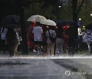 서울에 내리는 비