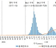 빠른 전파 ‘피롤라’ 변이 국내 첫 확인…해외이력 無 국내감염