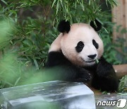 가을 태풍, 왜 안오지?…한반도 엄호하는 뜻밖 '중국 이것'