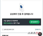 스마트폰 활용 보편화에 전자지급서비스 이용규모 지속 성장