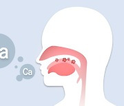 칼슘 과다 섭취하면 구강암 위험 커진다