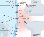 뇌 인지 기능 핵심물질 ‘가바’ 연구결과 총망라한 지침서 탄생