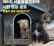 동물의 집은 어디인가? 서울동물영화제, 시민 영상 공모