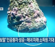 ‘수두리 보말’ 인공종자 성공…해녀 미래 소득원 기대