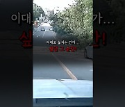 [영상] "경찰과 시민의 환상적인 콜라보"...음주운전 차량 도주 막은 시민