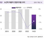 밸류파인더 "뉴인텍, 과대낙폭에 따른 매수 기회"